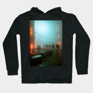 Top of the world Hoodie